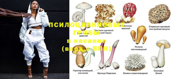 мескалин Богородск